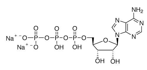 Chemical structure of ATP